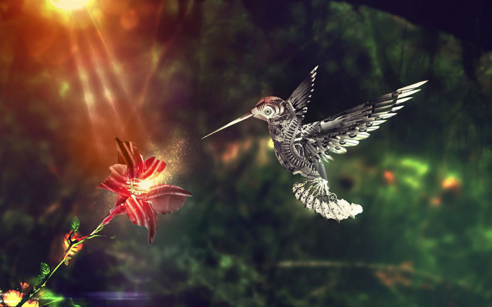 Robot And Bird Wallpapers