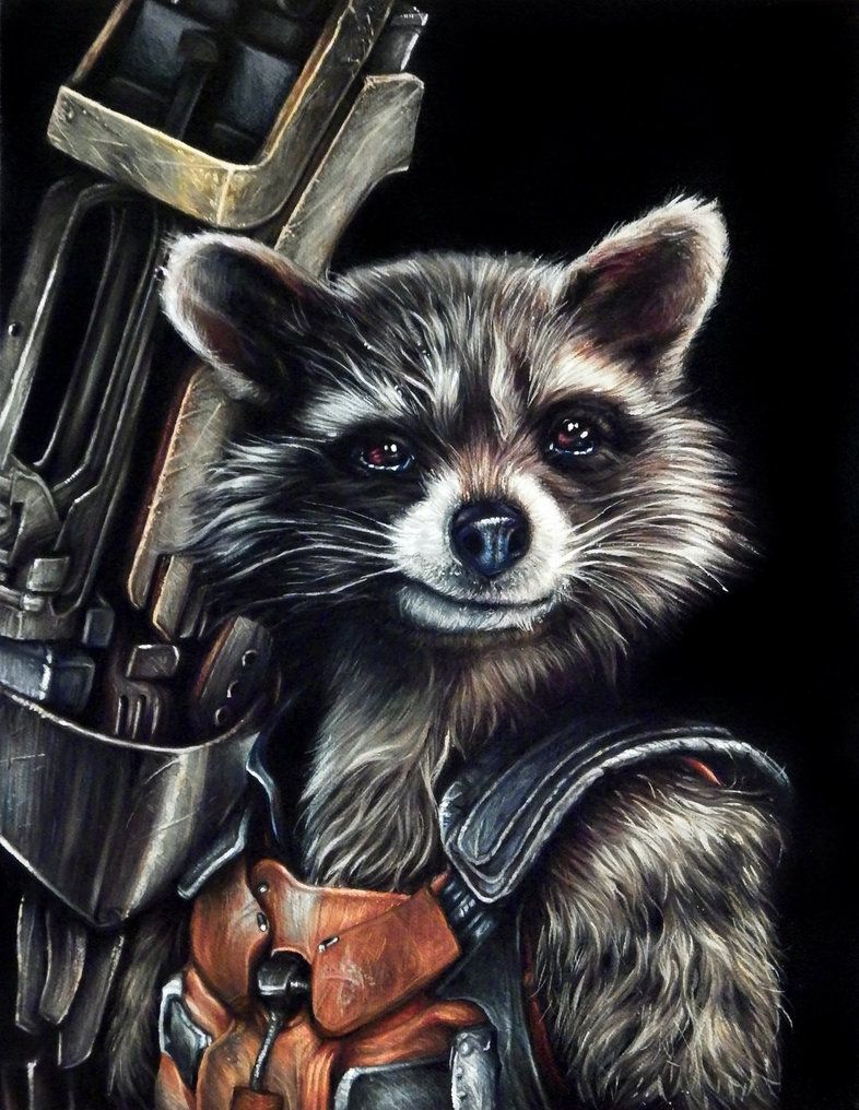 Rocket Raccoon Artwork Wallpapers