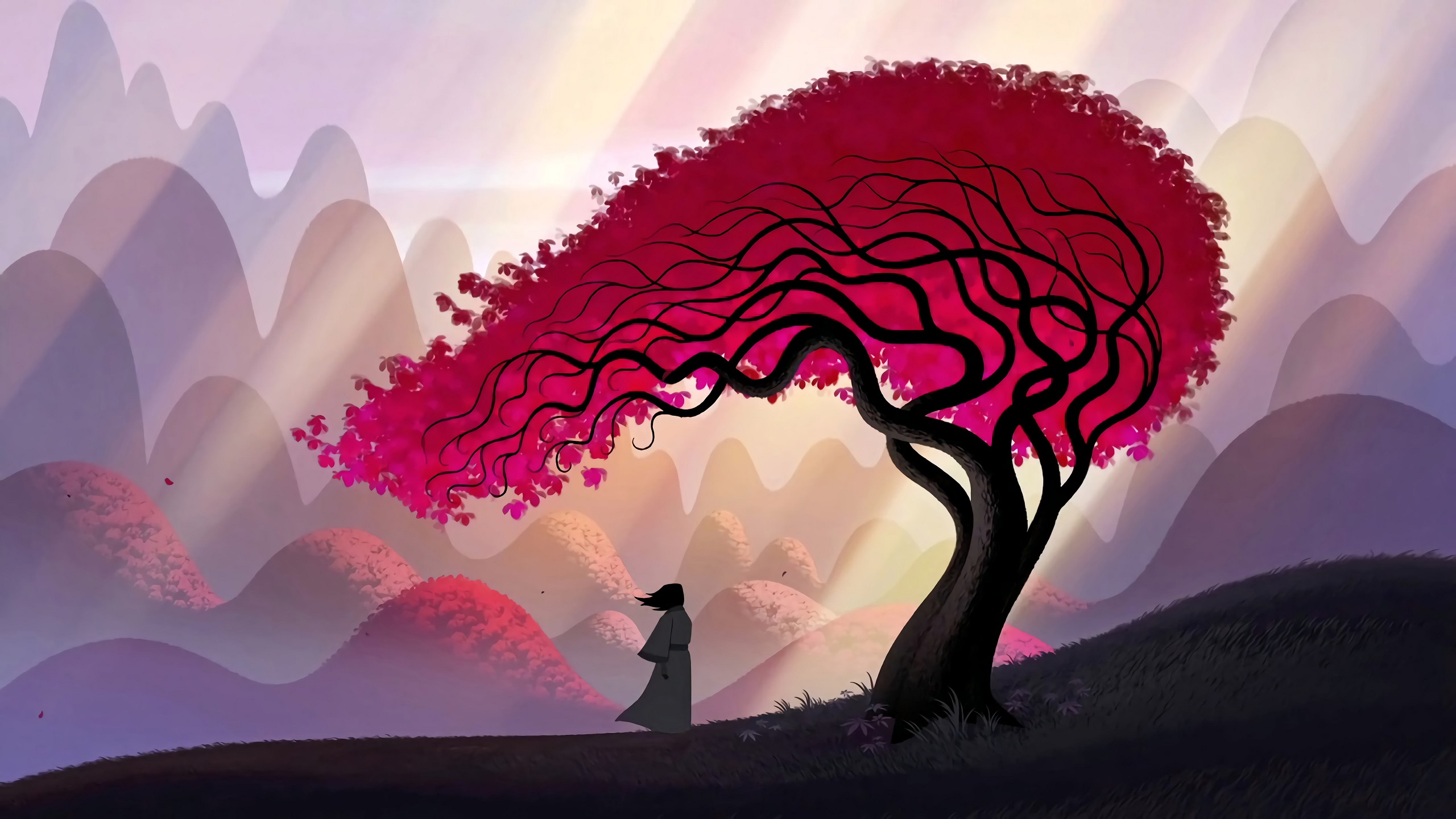 Samurai Jack Artwork Wallpapers