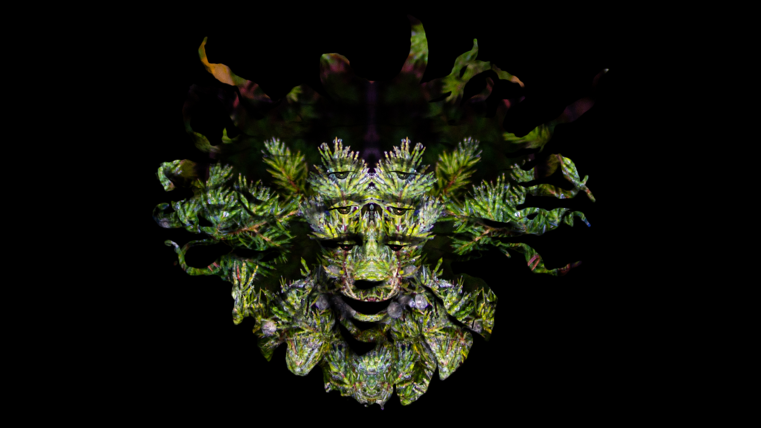 Shpongle Mask Wallpapers