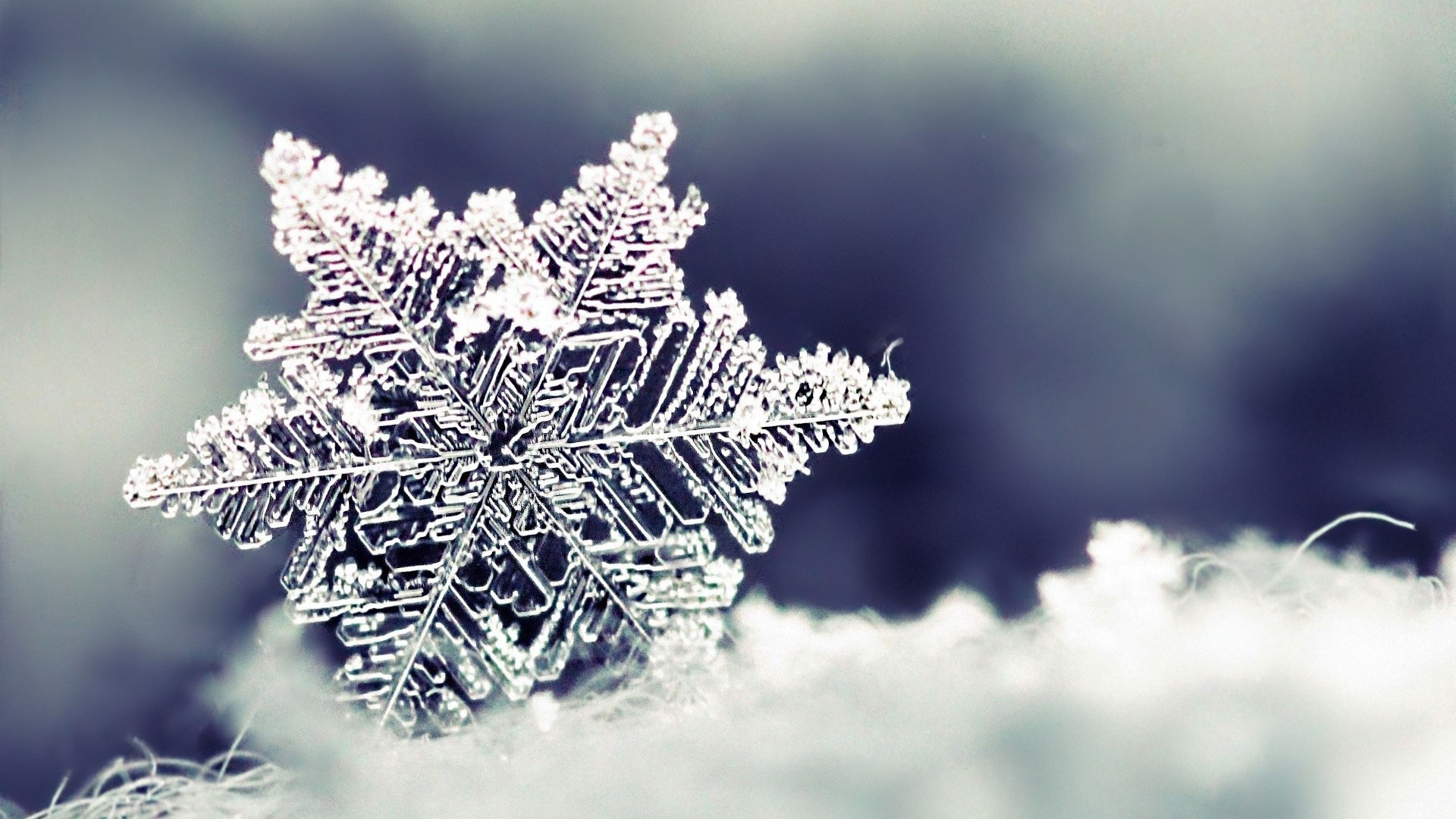 Snowflake Burning Wallpapers