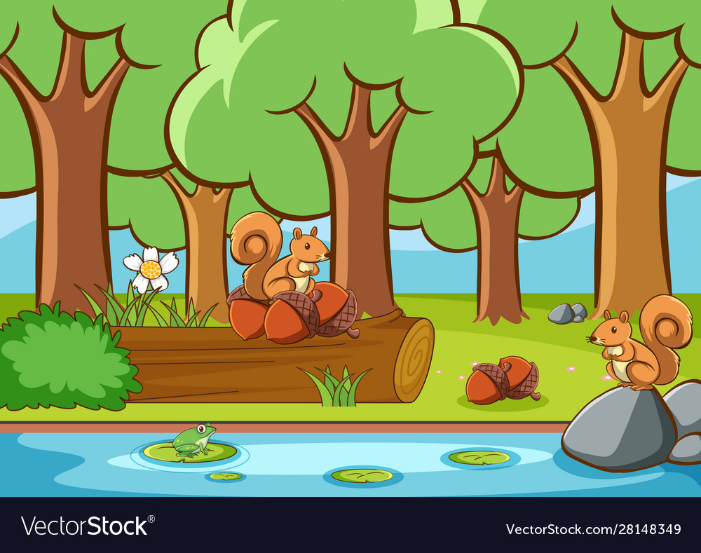 Squirrel In Forest Illustration Wallpapers