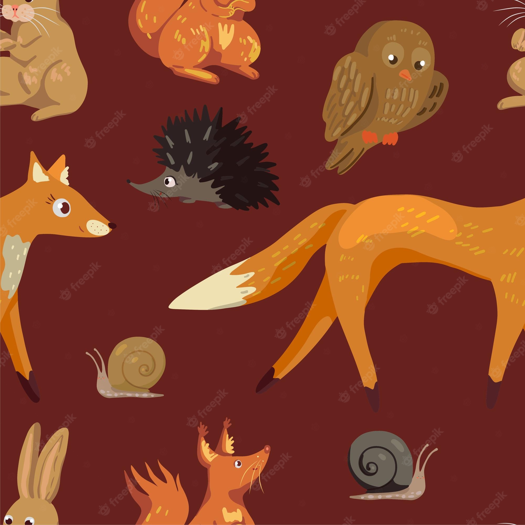 Squirrel In Forest Illustration Wallpapers