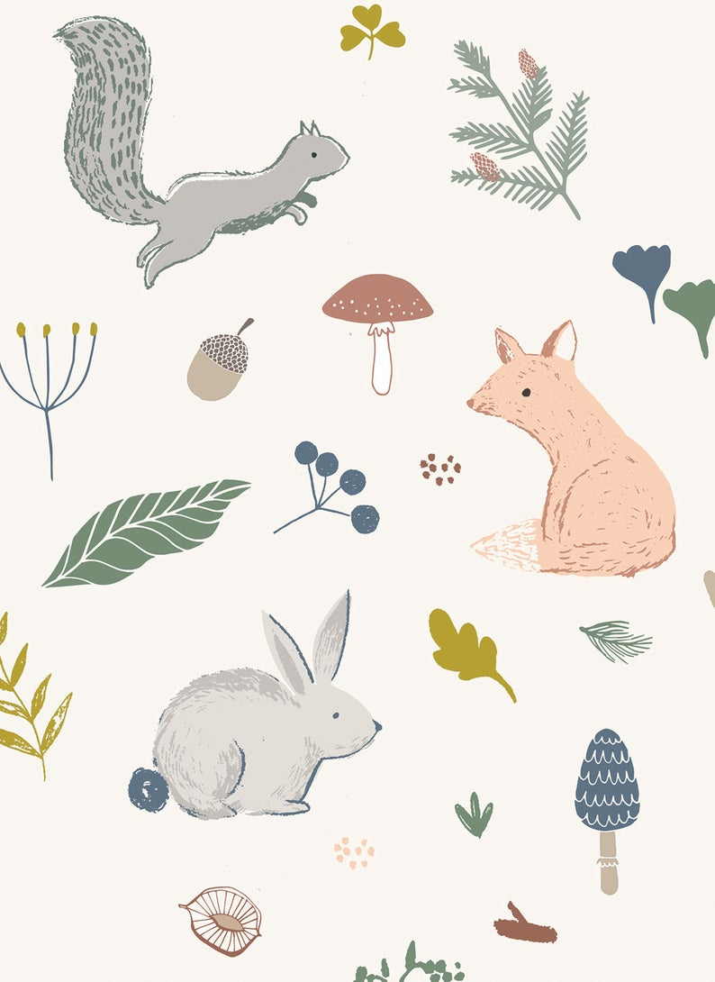 Squirrel In Forest Illustration Wallpapers