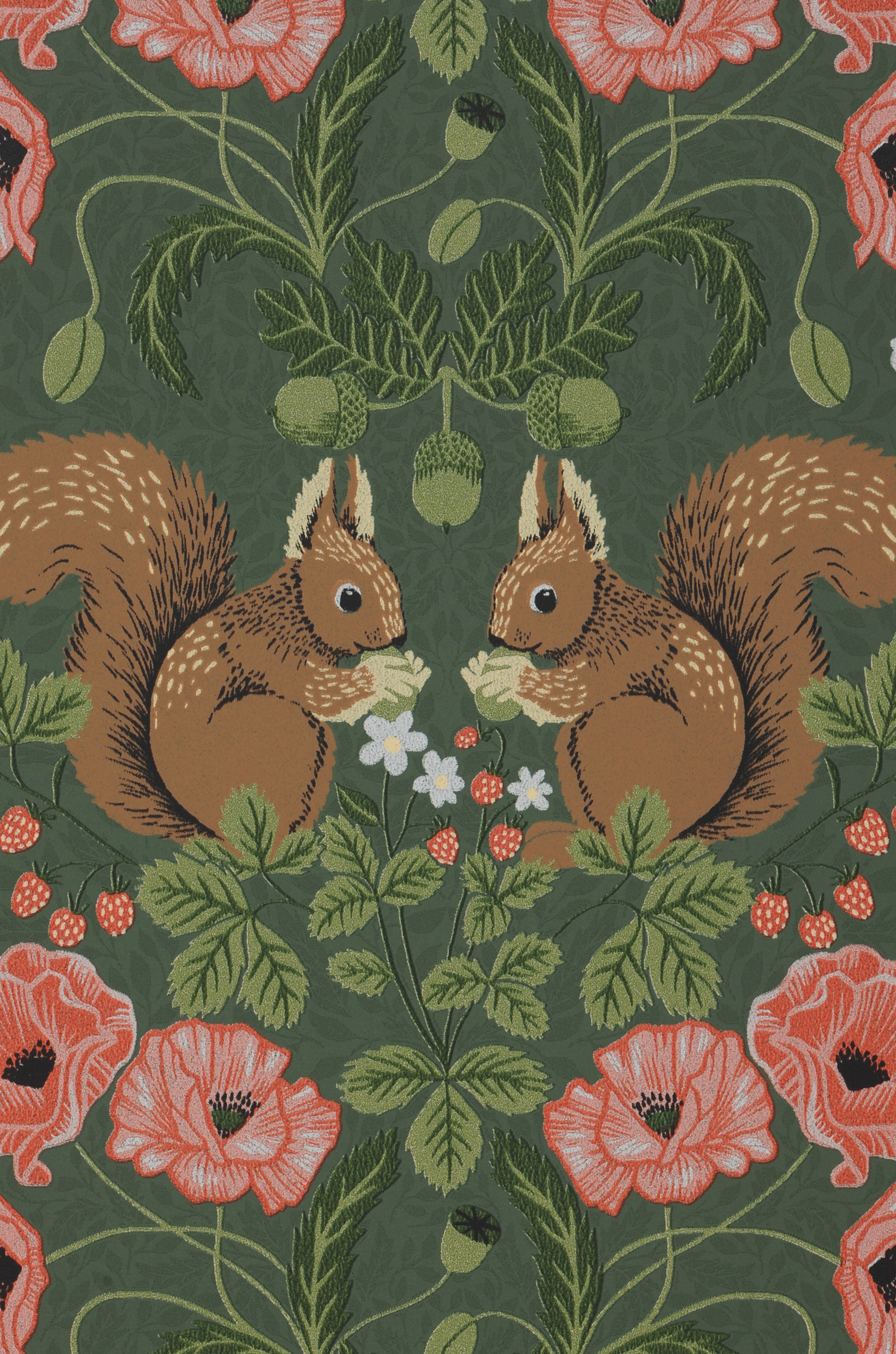 Squirrel In Forest Illustration Wallpapers