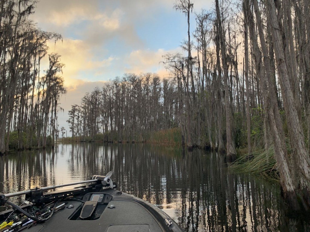 St. Johns River Wallpapers