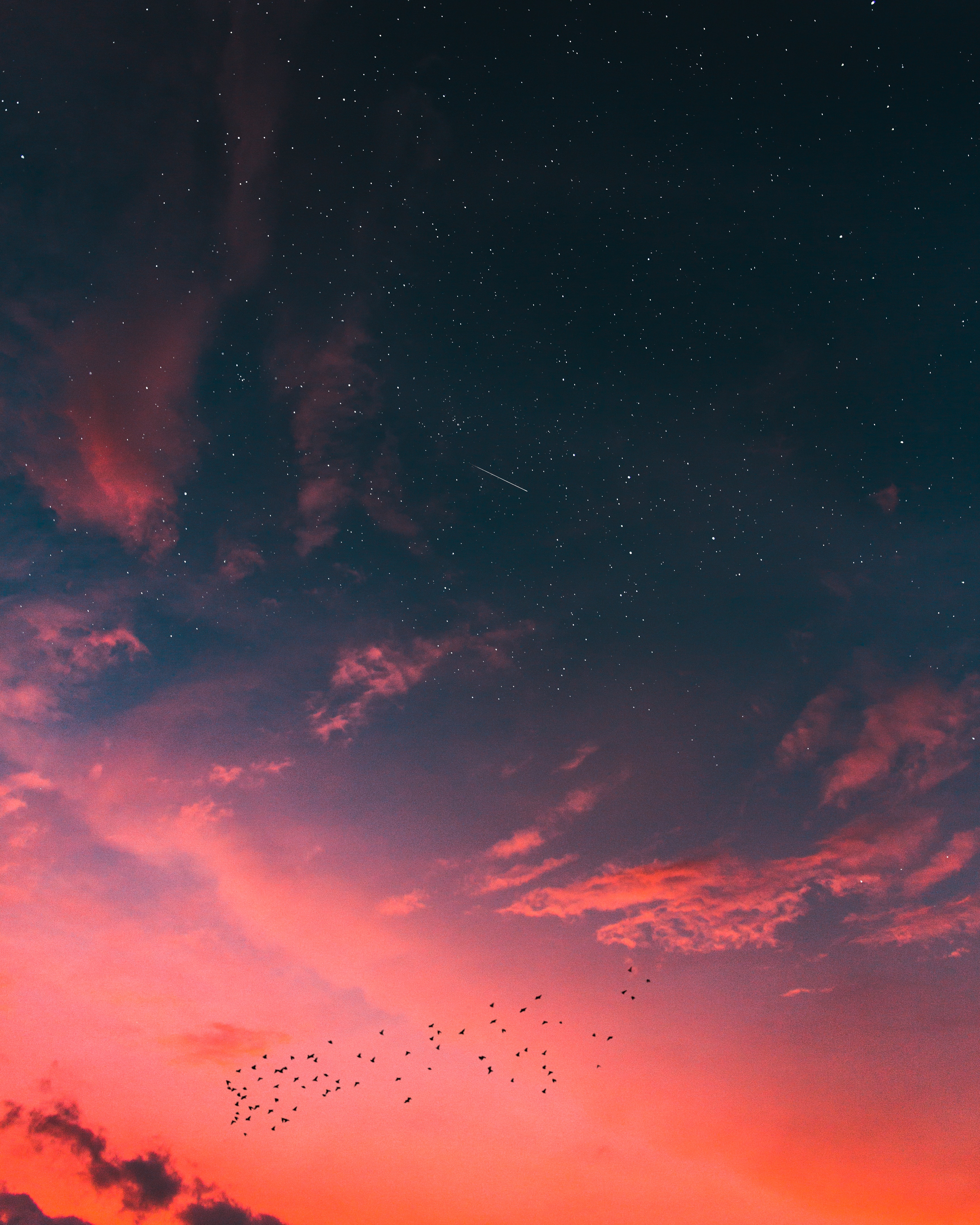 Starry Dusk Wallpapers