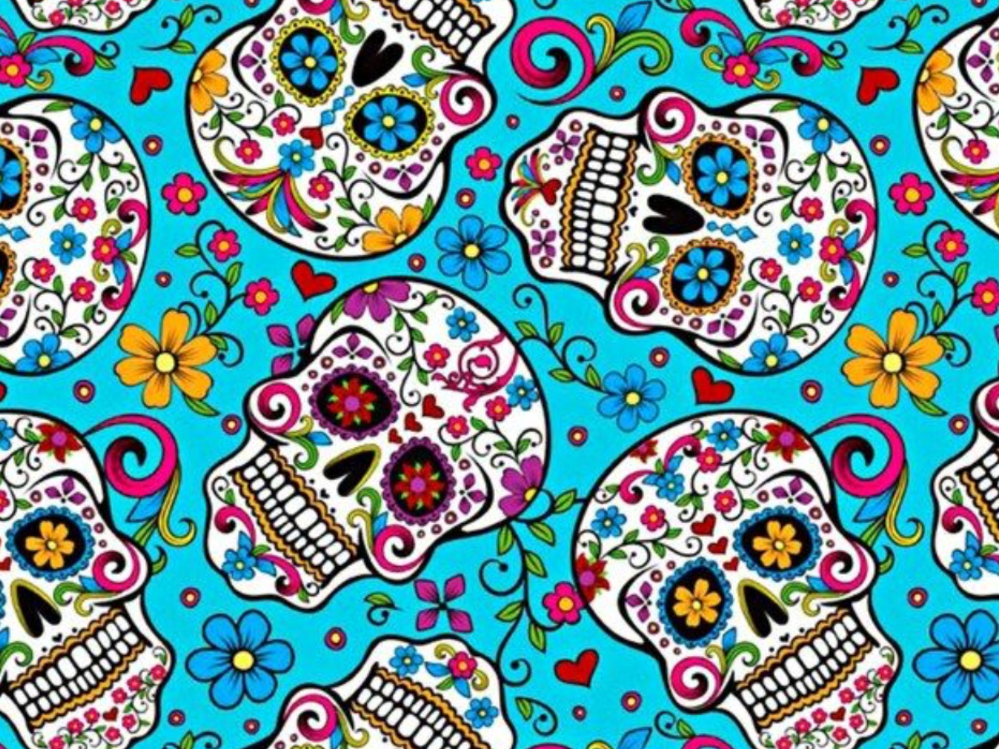 Sugar Skull Wallpapers