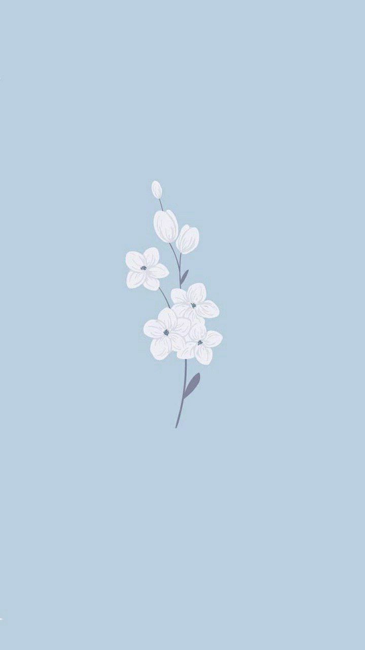 The Blue Flower Wallpapers