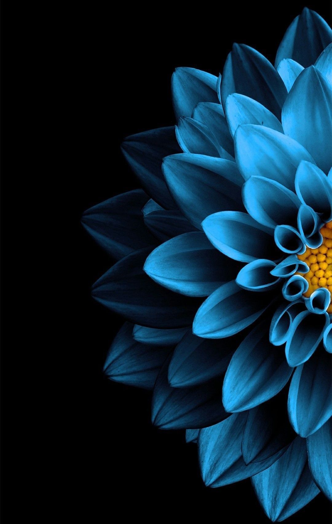 The Blue Flower Wallpapers