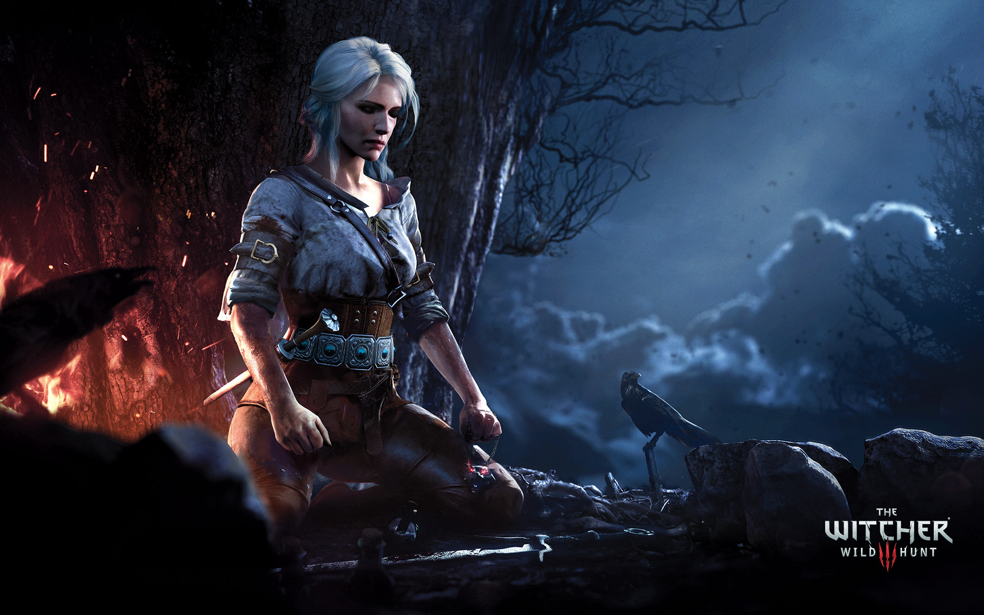 The Witcher 2019 Wallpapers