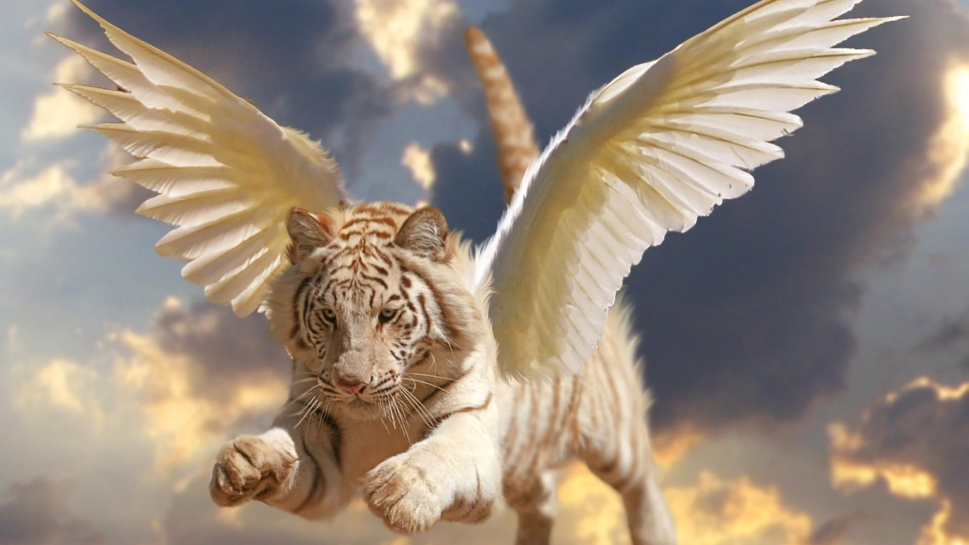 Tiger With Wings Wallpapers