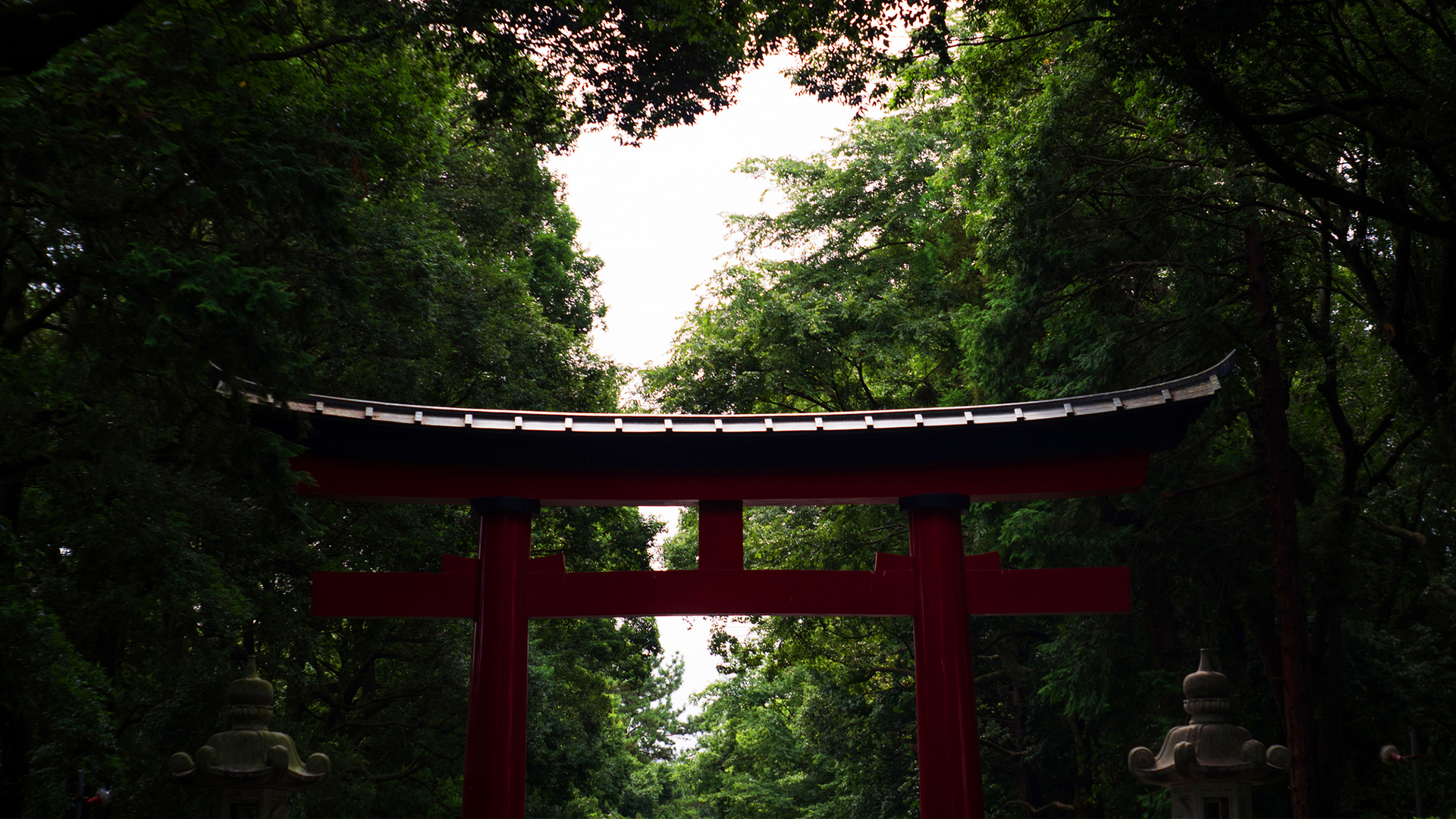 Torii Gate Paint Art Wallpapers