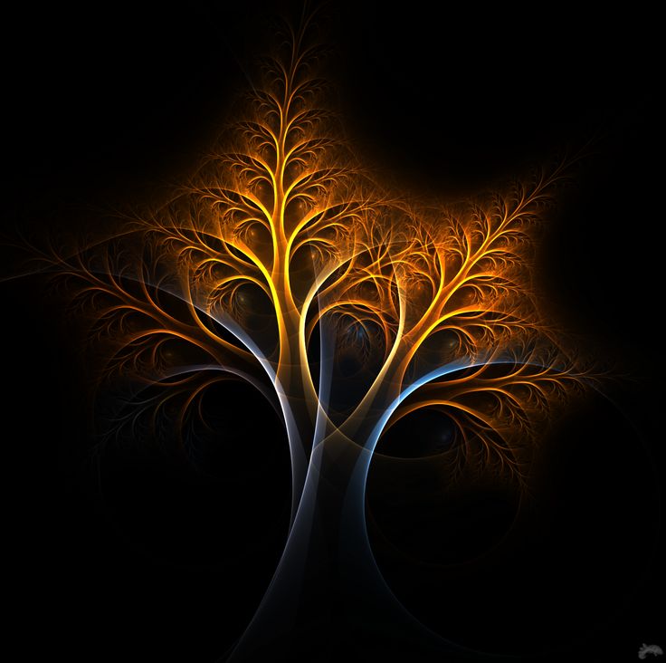 Tree On Fire Wallpapers