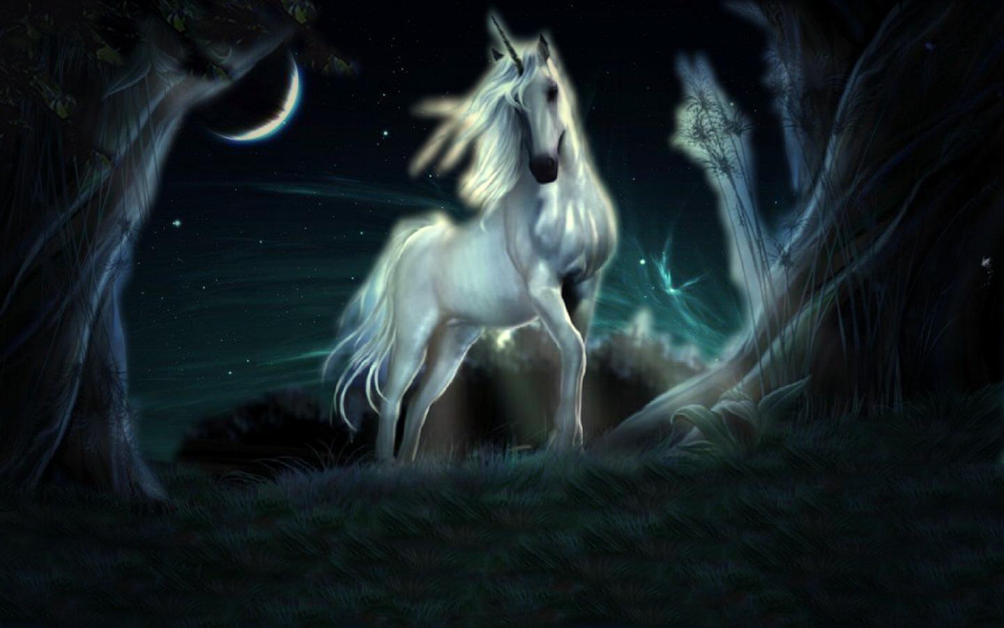 Unicorn Horse Full Moon Wallpapers