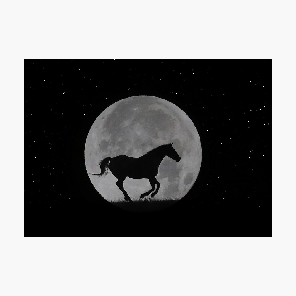 Unicorn Horse Full Moon Wallpapers