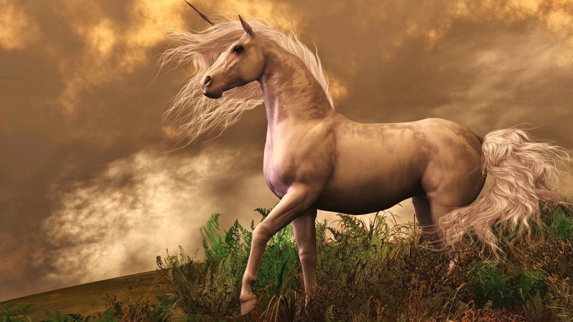 Unicorn In Field Wallpapers