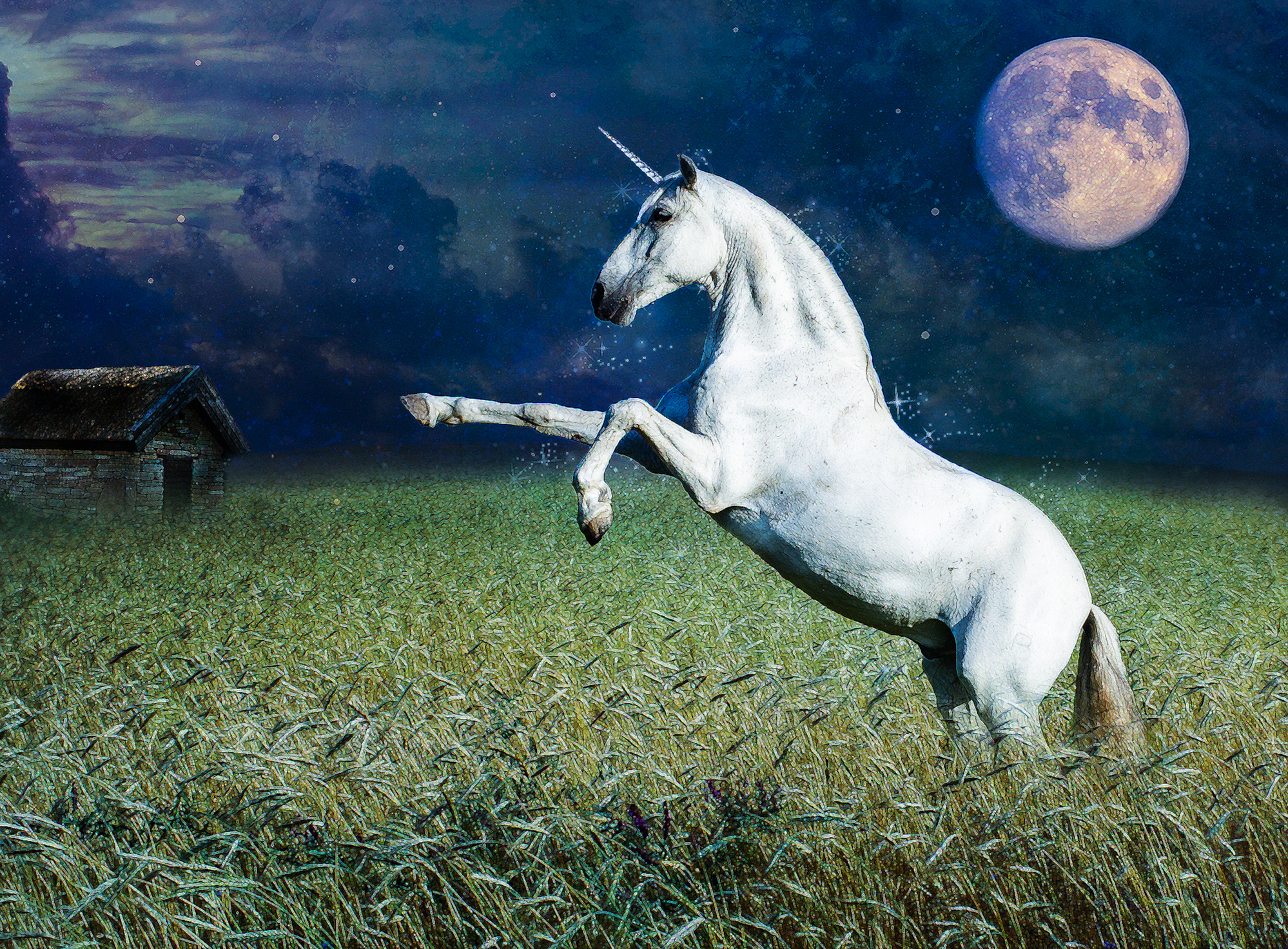 Unicorn In Field Wallpapers