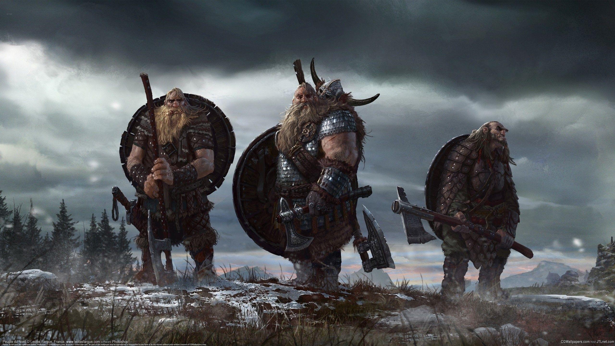 Viking Warrior Cool Illustration Wallpapers