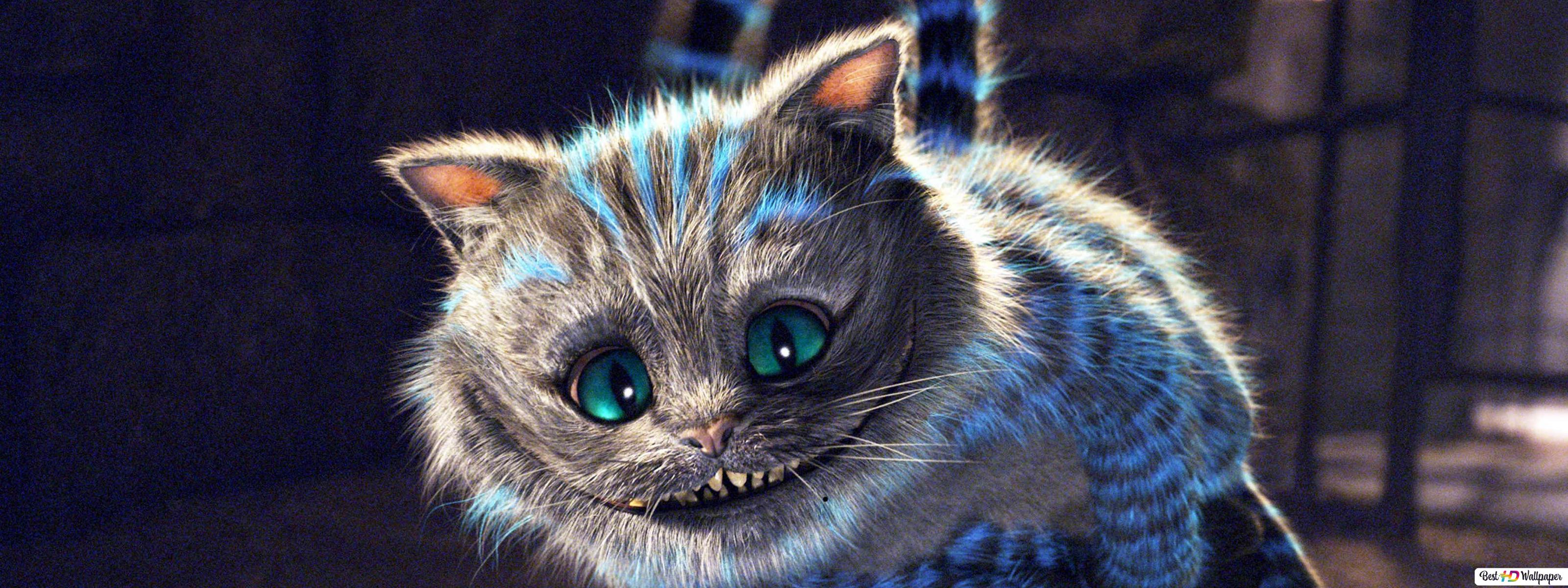 We Are All Mad Here Cheshire Cat Wallpapers