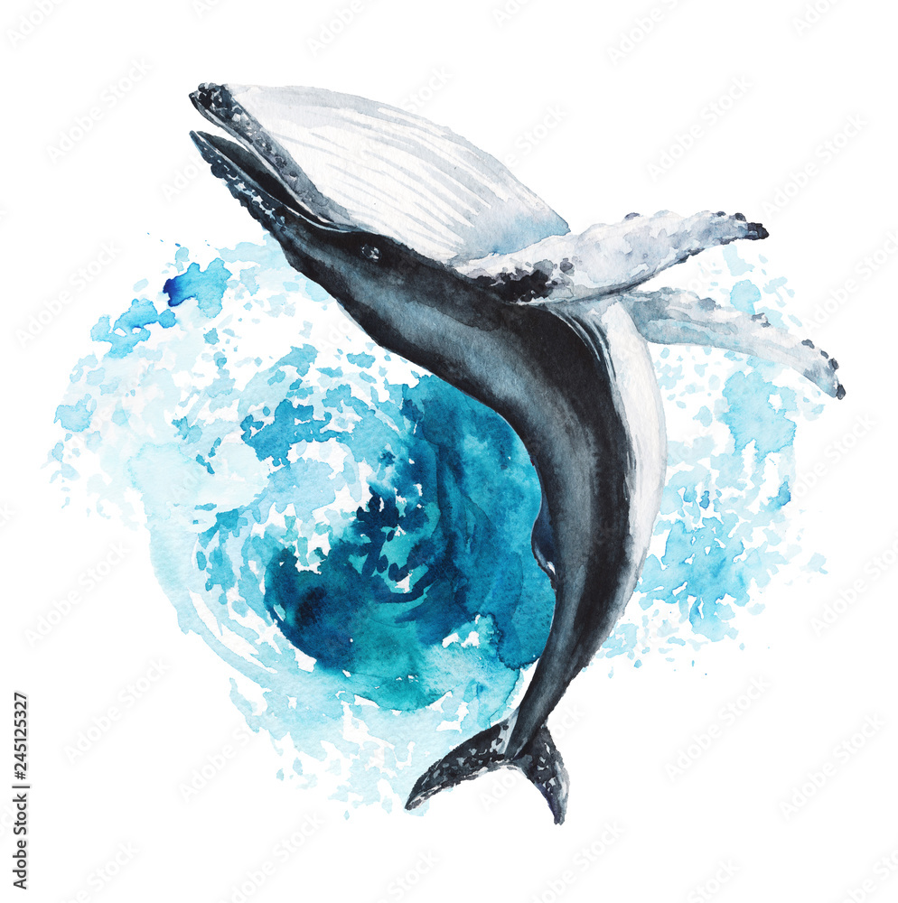 Whale Fish Drawing Art Wallpapers