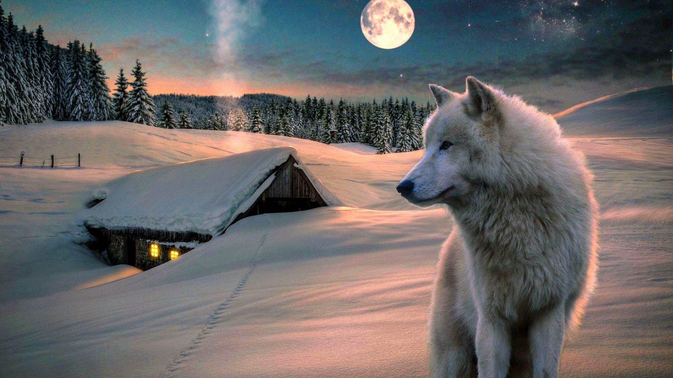 Wolf And Landscape Illustration Wallpapers