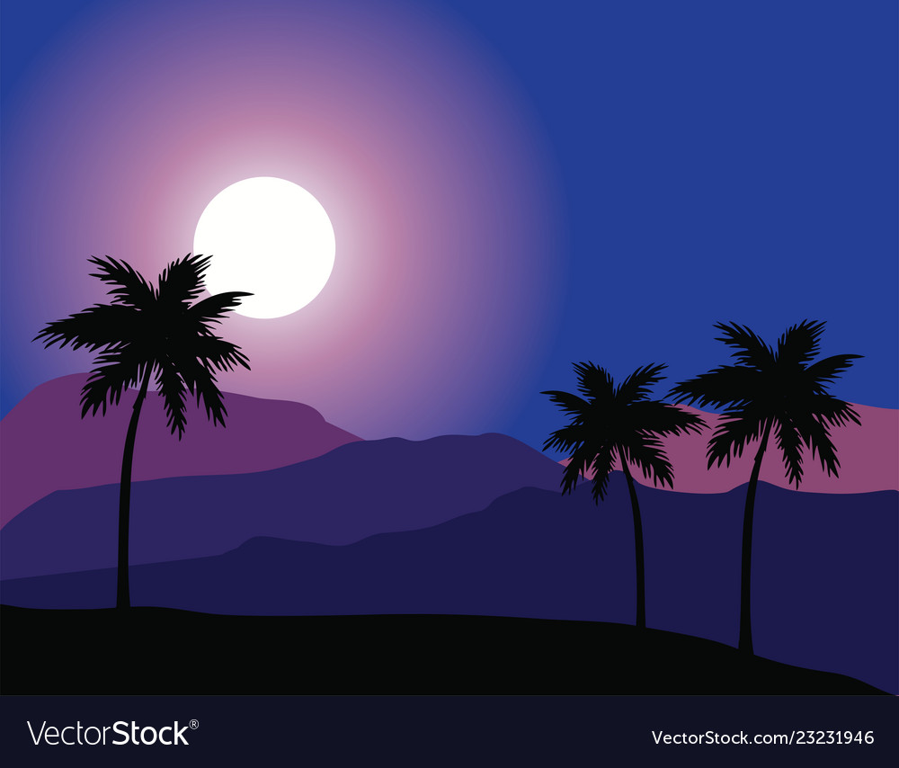 Desert Night Illustration Wallpapers