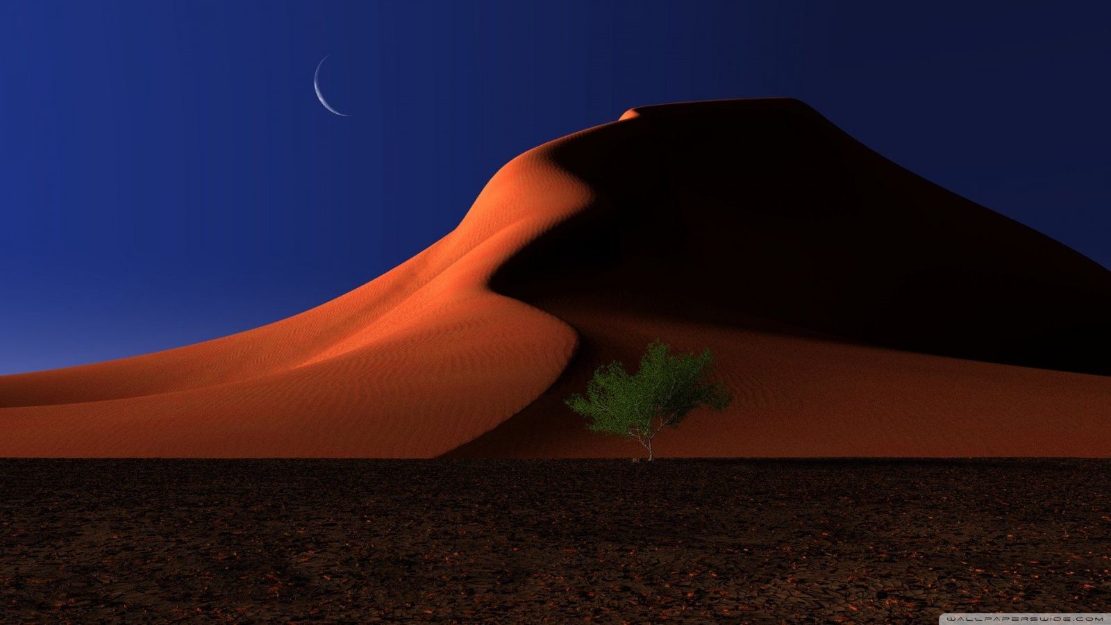 Desert Night Illustration Wallpapers