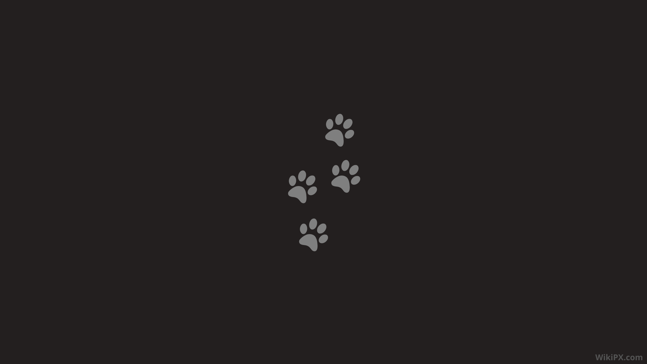 Dog Minimalism Wallpapers