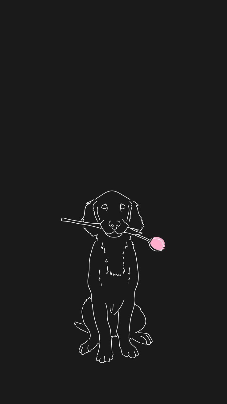 Dog Minimalism Wallpapers