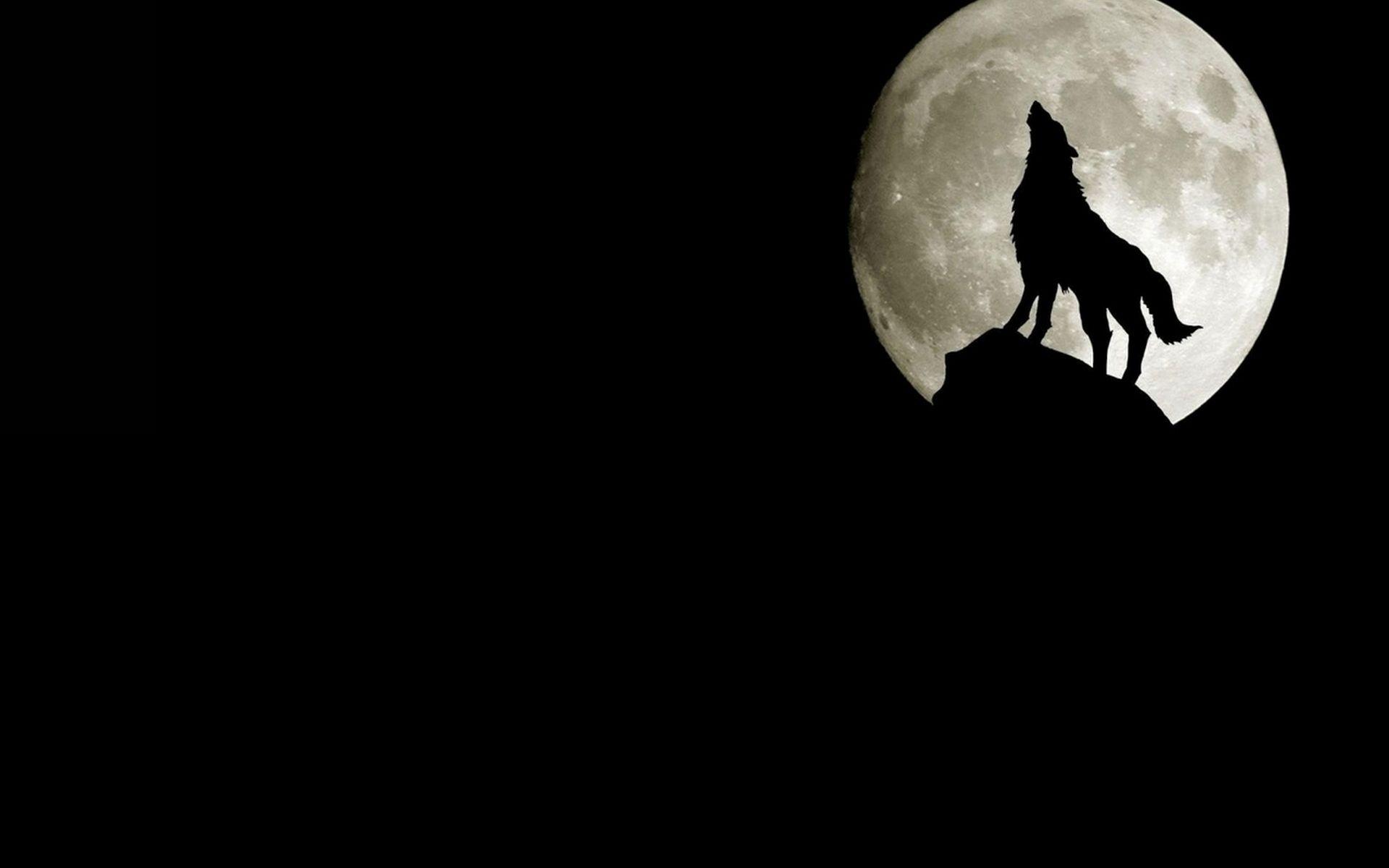 Howling Wolf Gradient Wallpapers