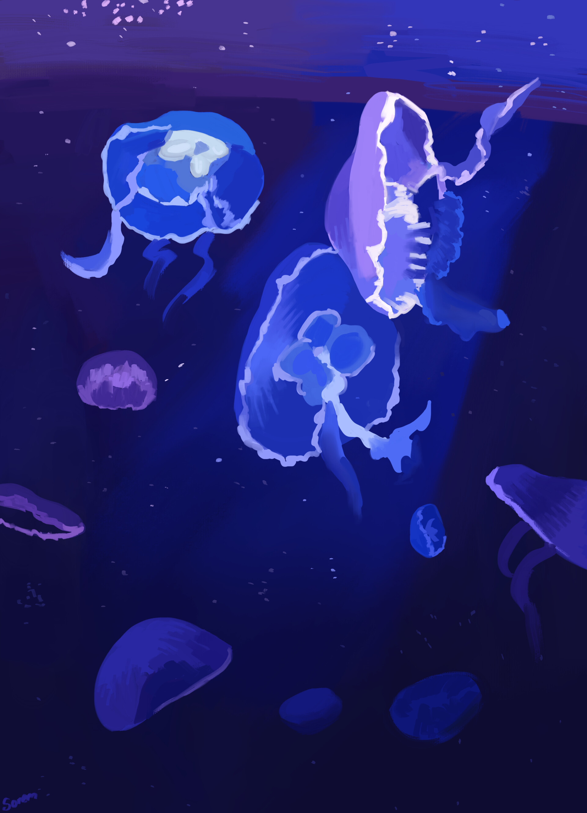 Jellyfish Minimal Art Wallpapers