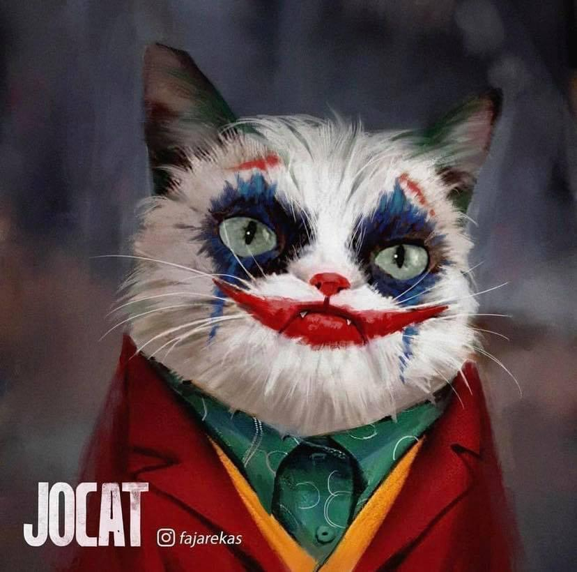 Joker Cat Wallpapers