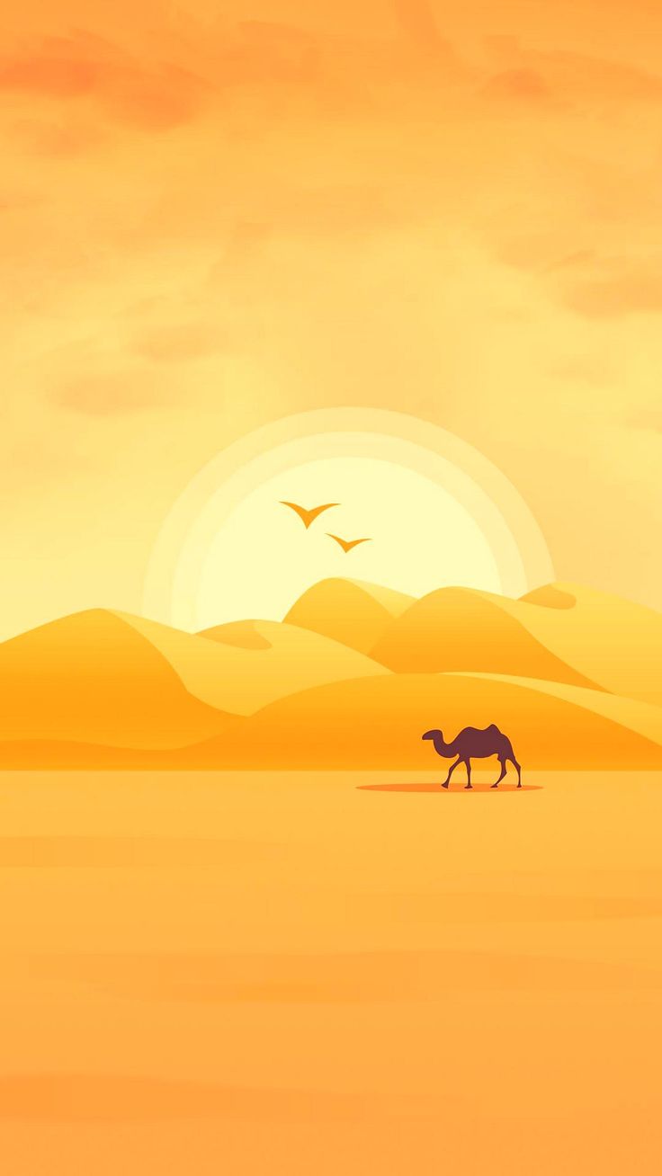 Minimal Artistic Desert Sunset Wallpapers