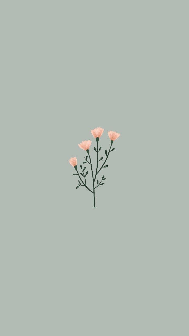 Minimal Flower Wallpapers