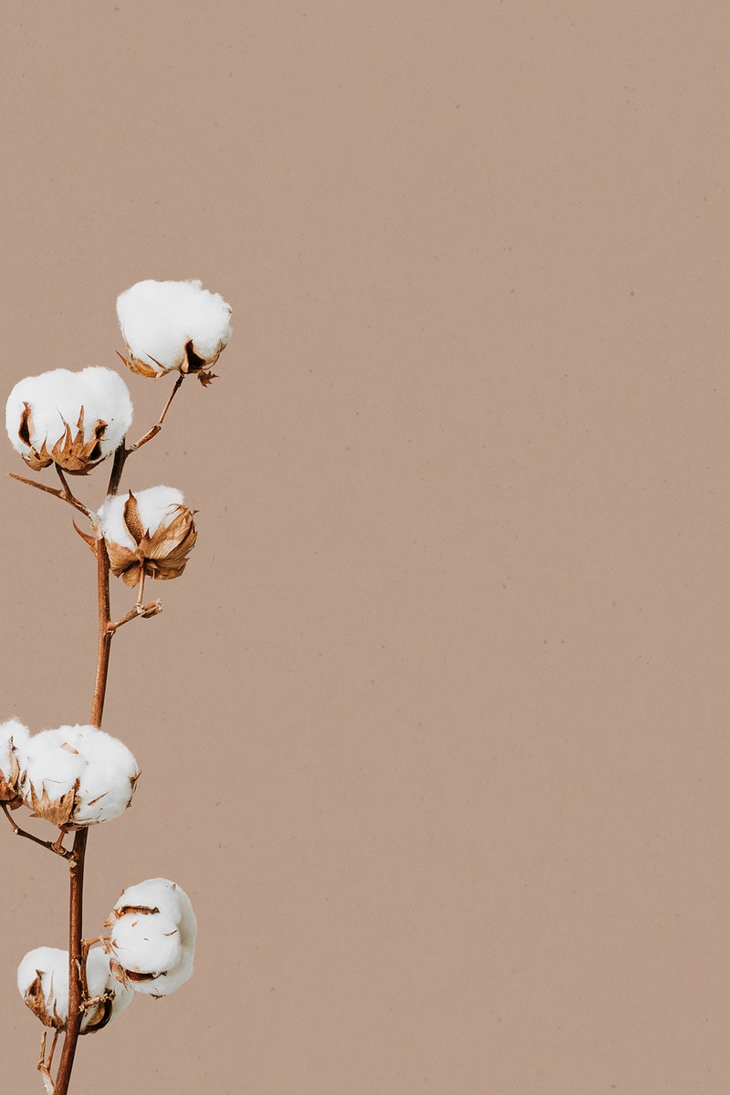 Minimal Flower Wallpapers