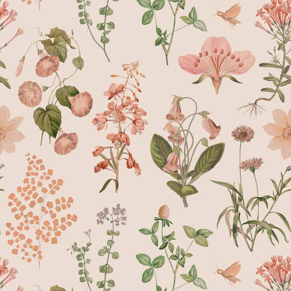 Minimal Flower Wallpapers