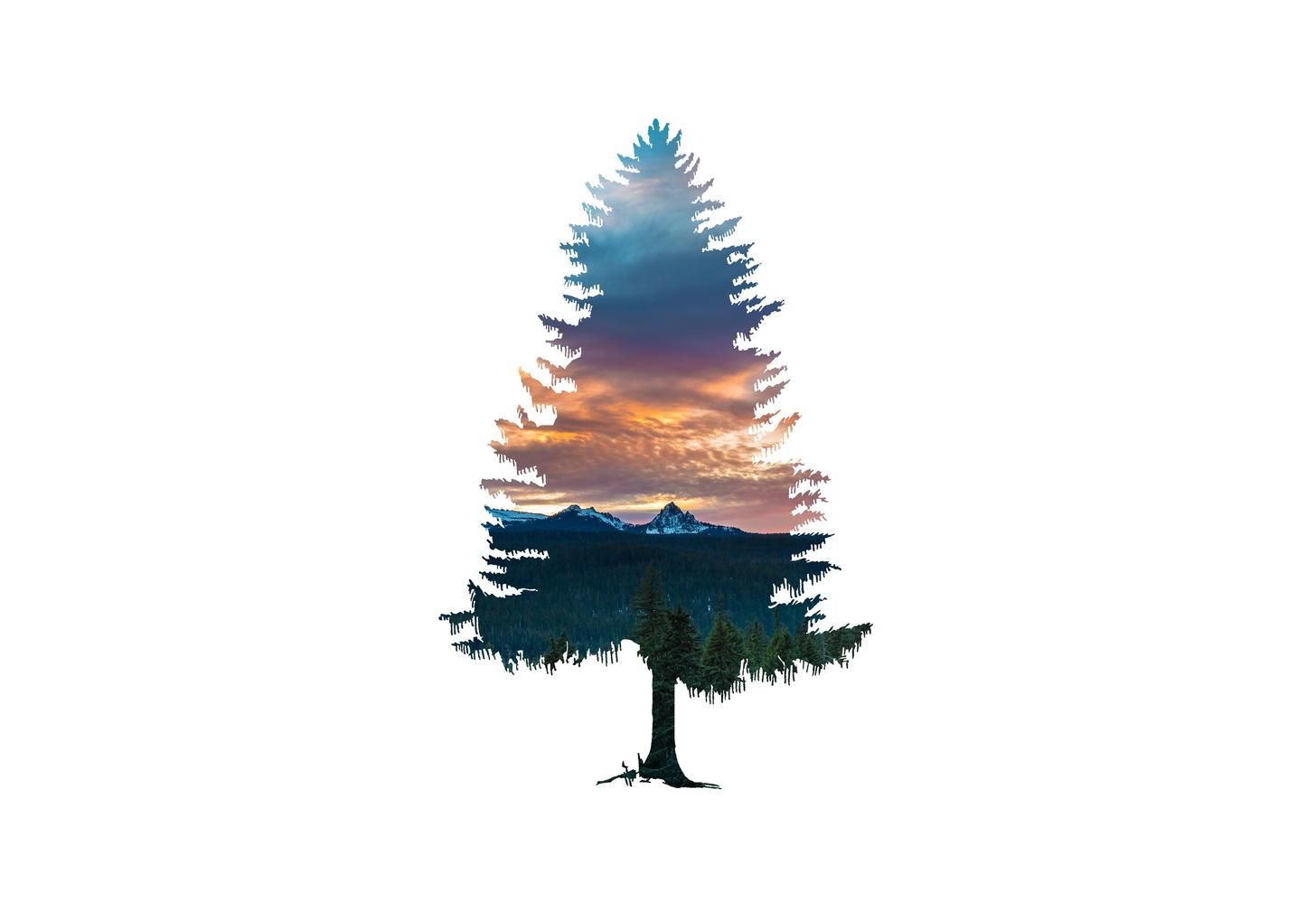 Minimal Tree Wallpapers