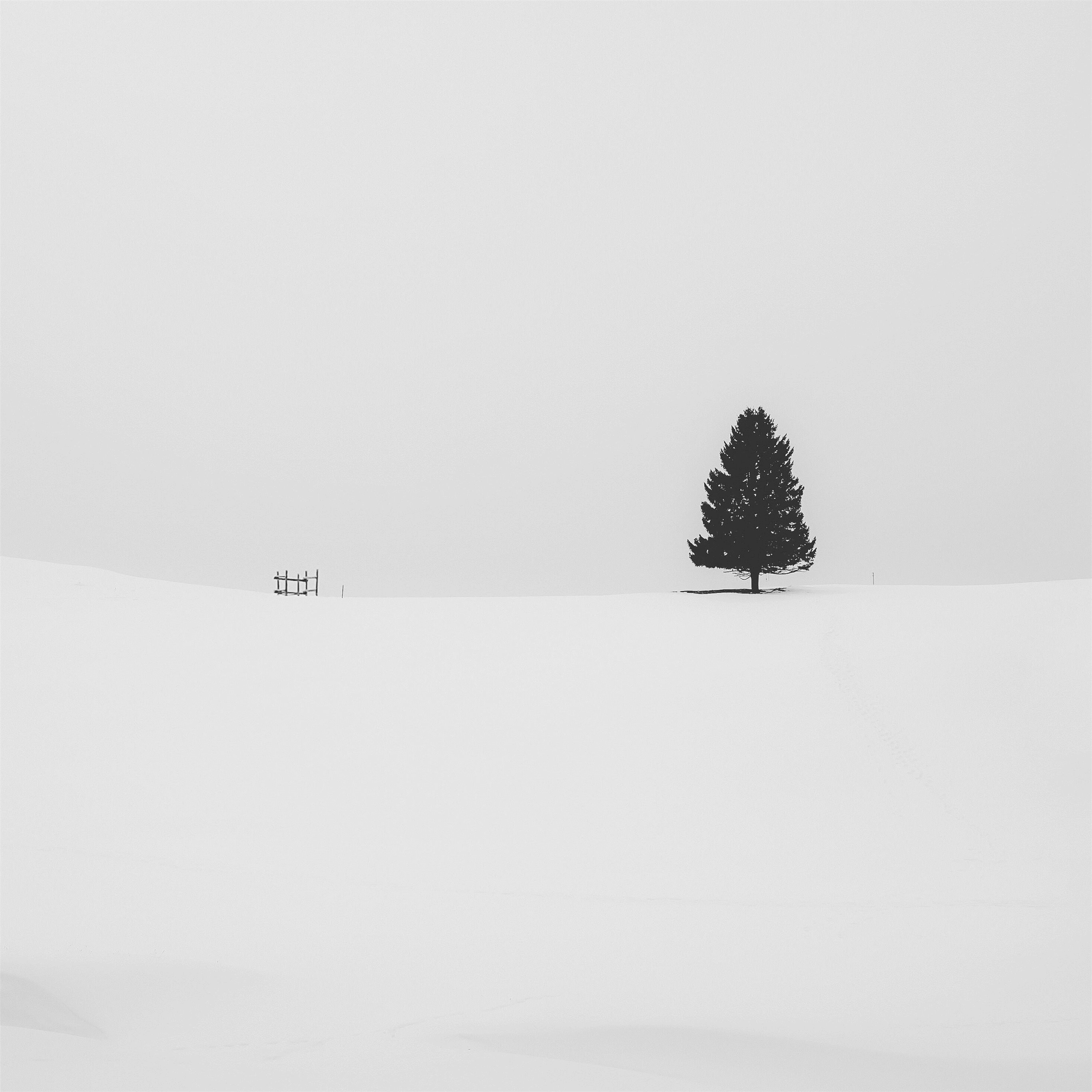 Minimal Winter Wallpapers