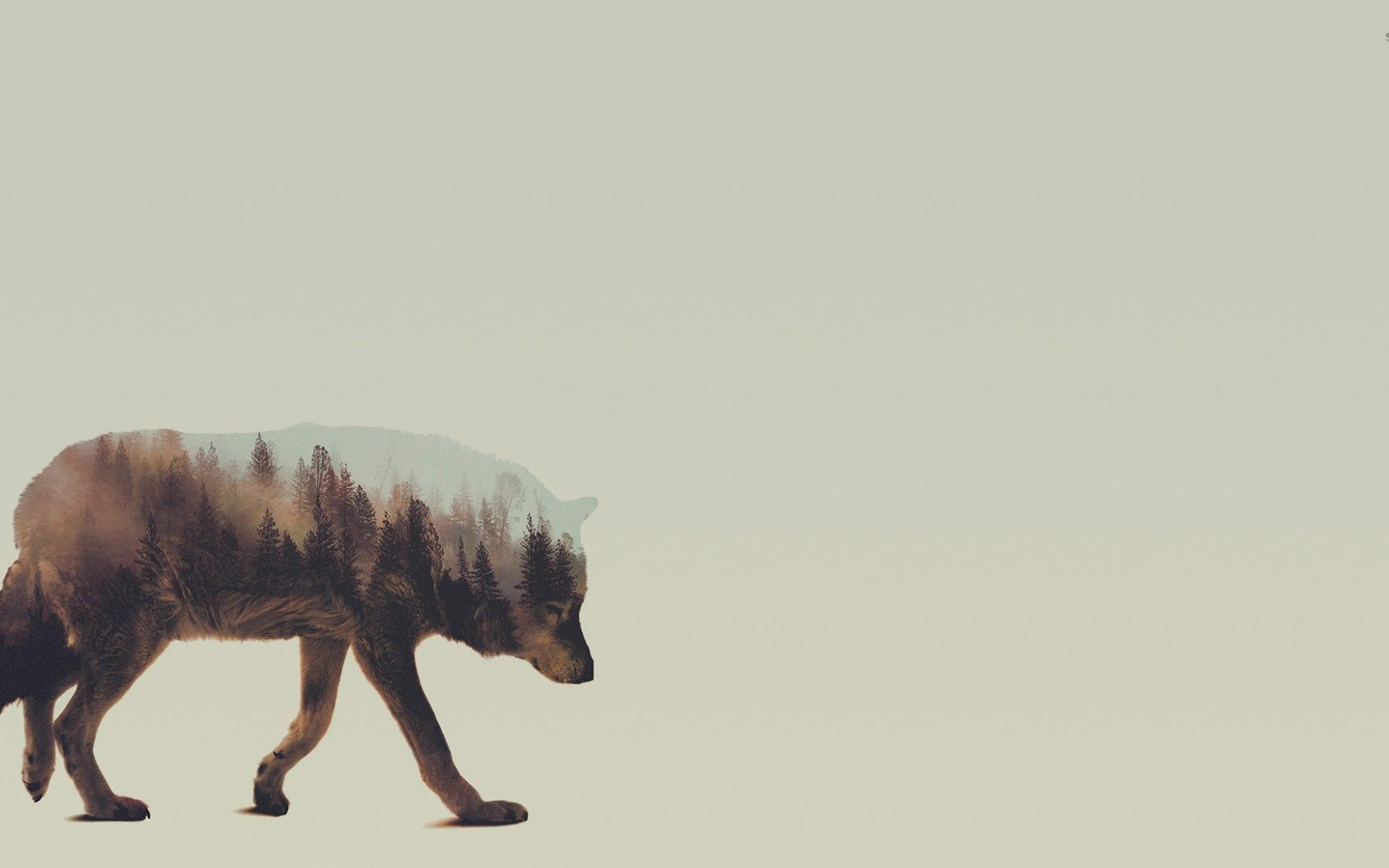 Minimal Wolf Wallpapers