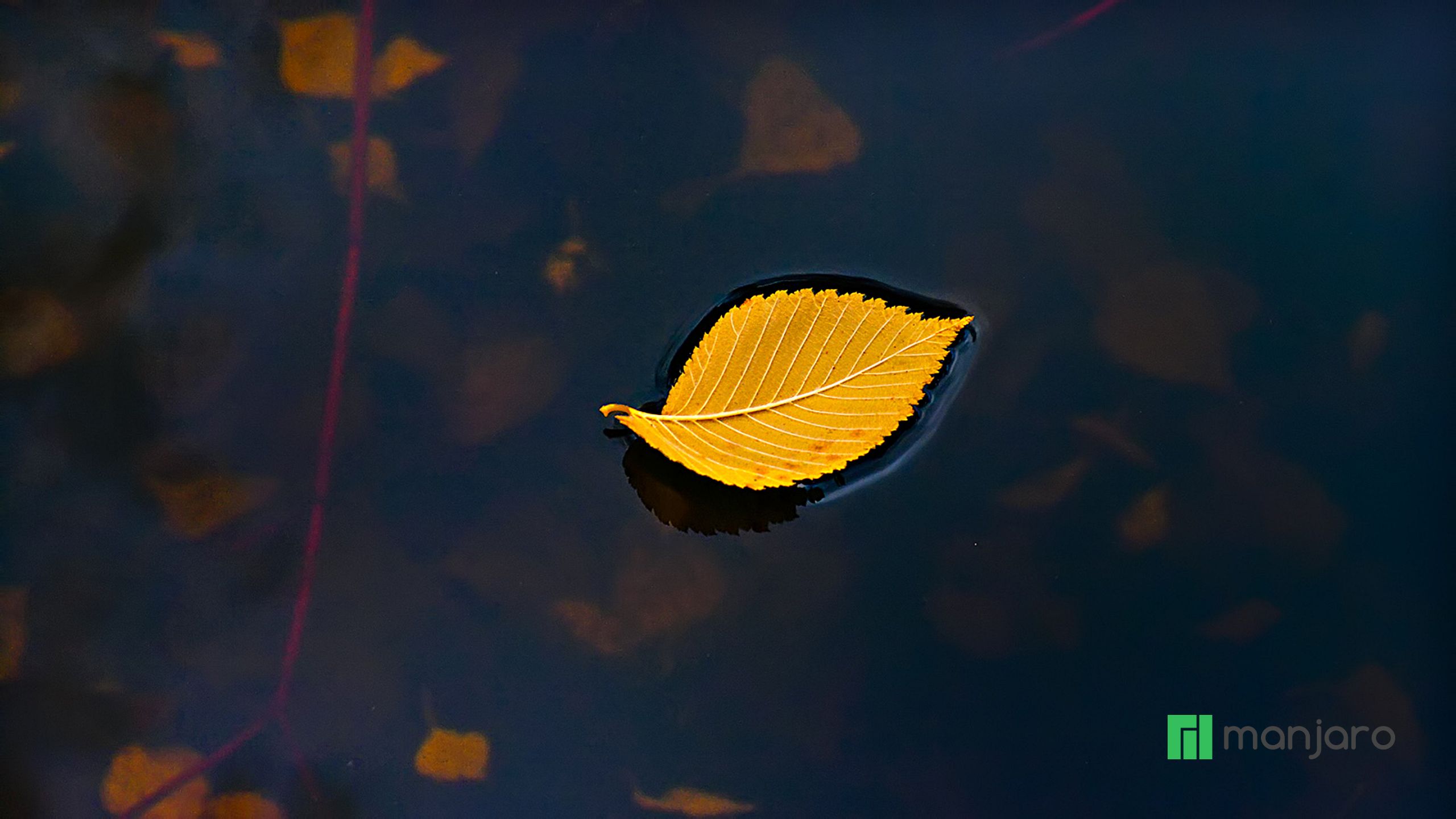 Minimalism Autumn Wallpapers