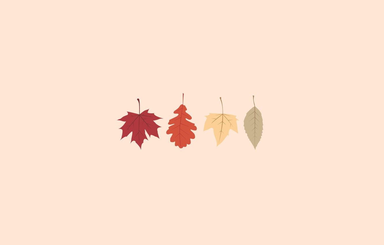 Minimalist Autumn Wallpapers