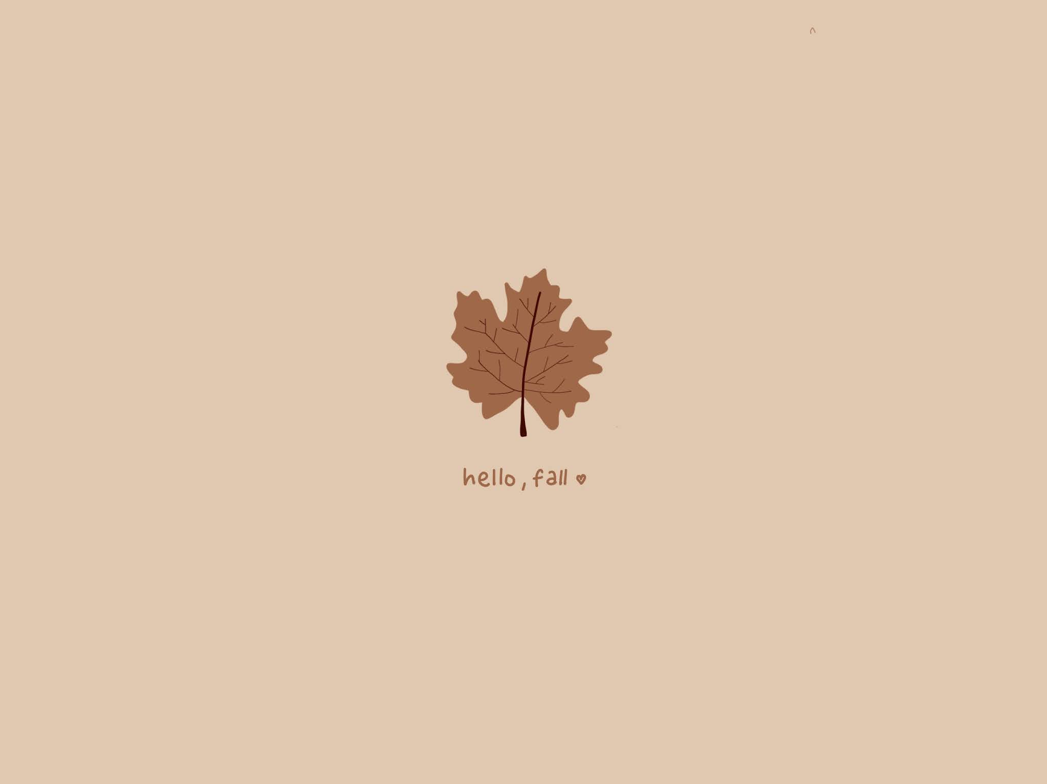 Minimalist Autumn Wallpapers