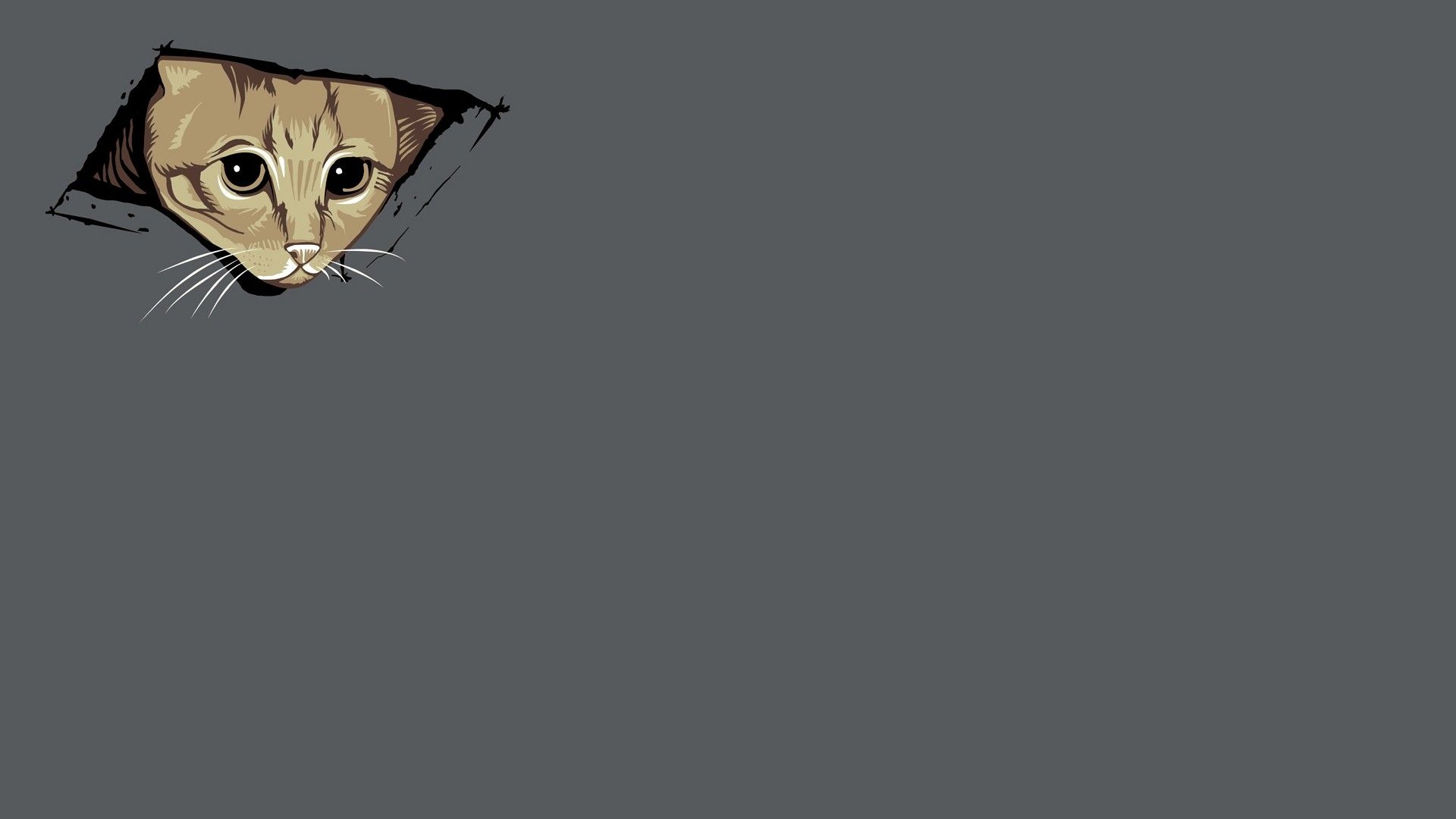 Minimalist Cat Desktop Wallpapers