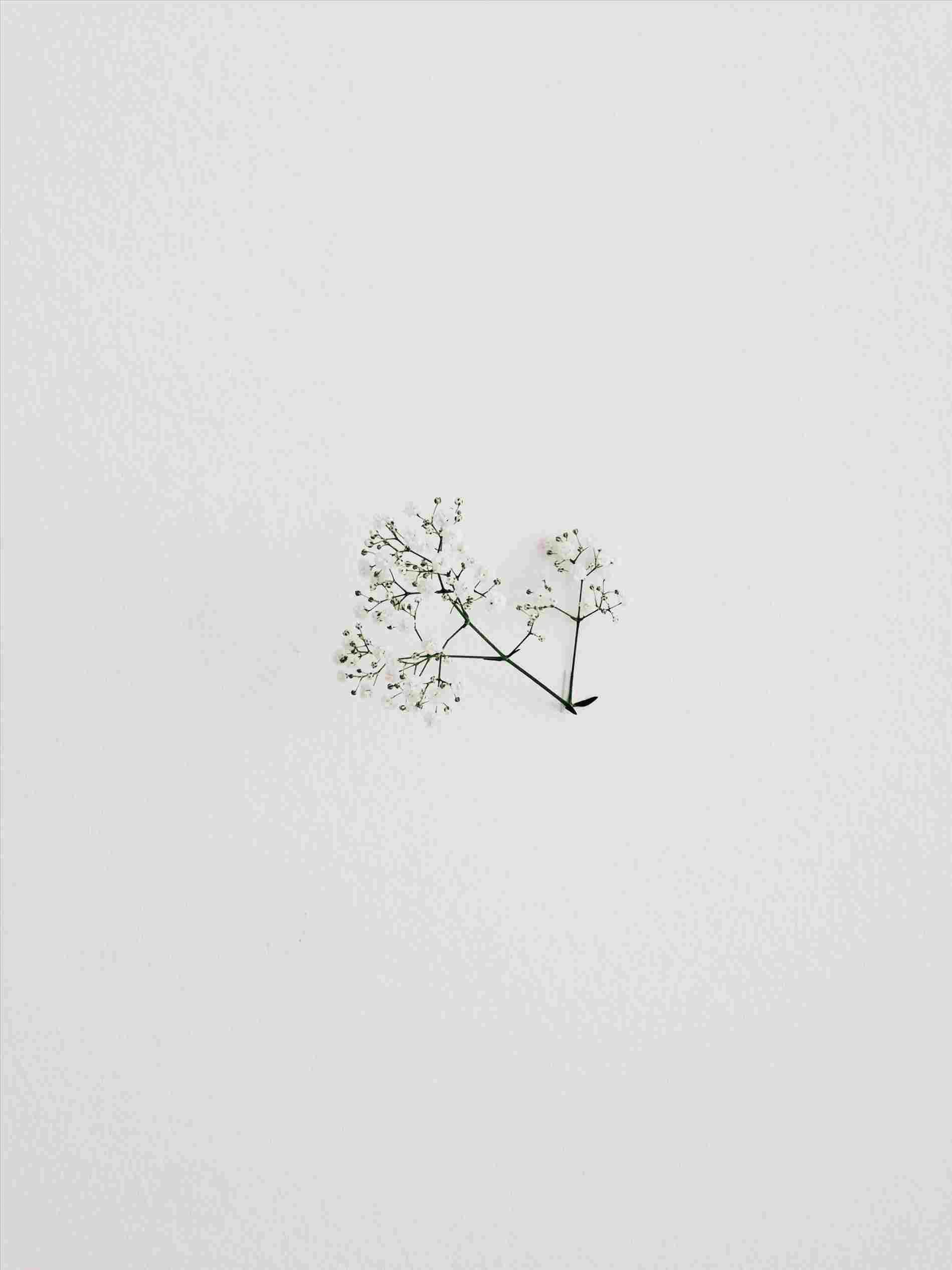 Minimalist Drawing Aesthetic Wallpapers