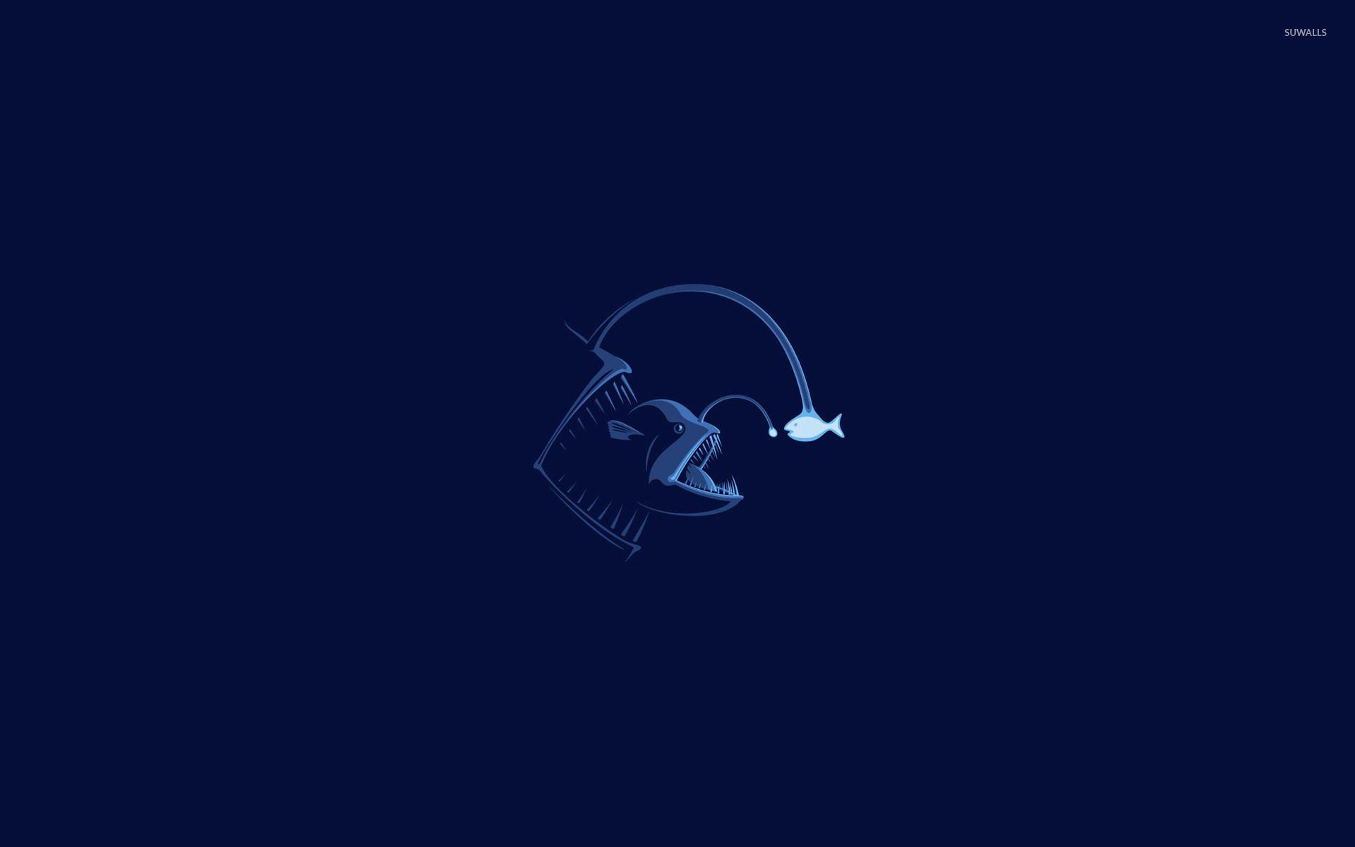 Minimalist Fish Wallpapers