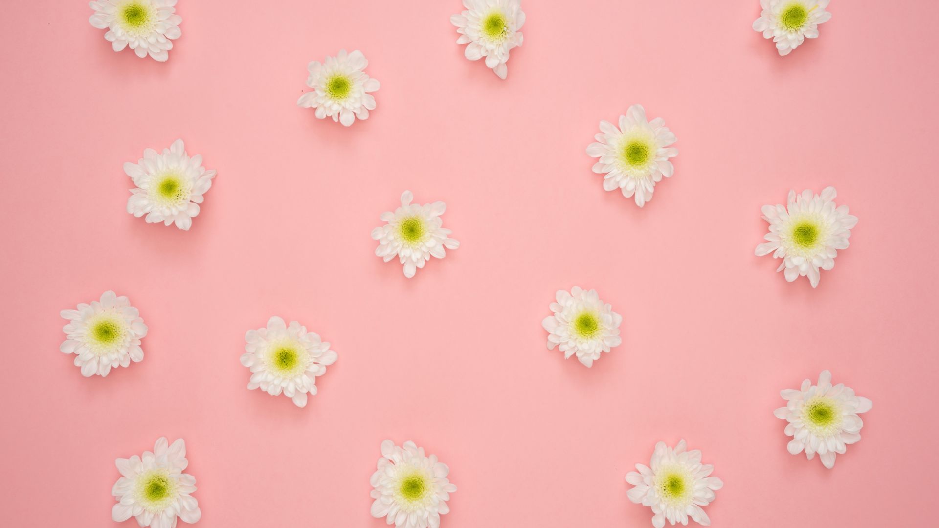 Minimalist Floral Wallpapers