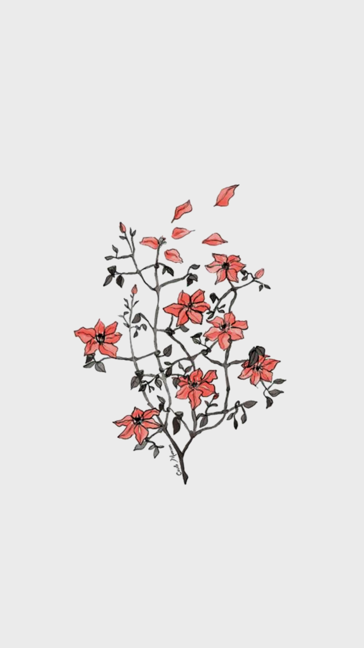 Minimalist Floral Wallpapers