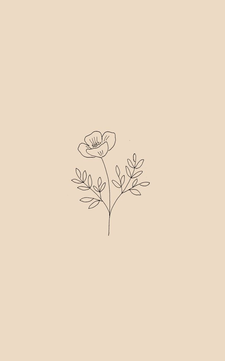 Minimalist Floral Wallpapers