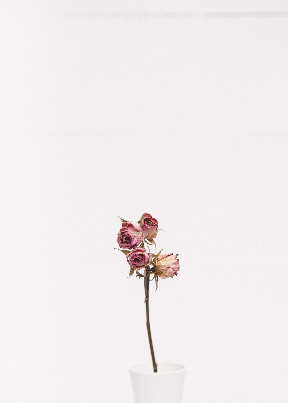 Minimalist Floral Wallpapers